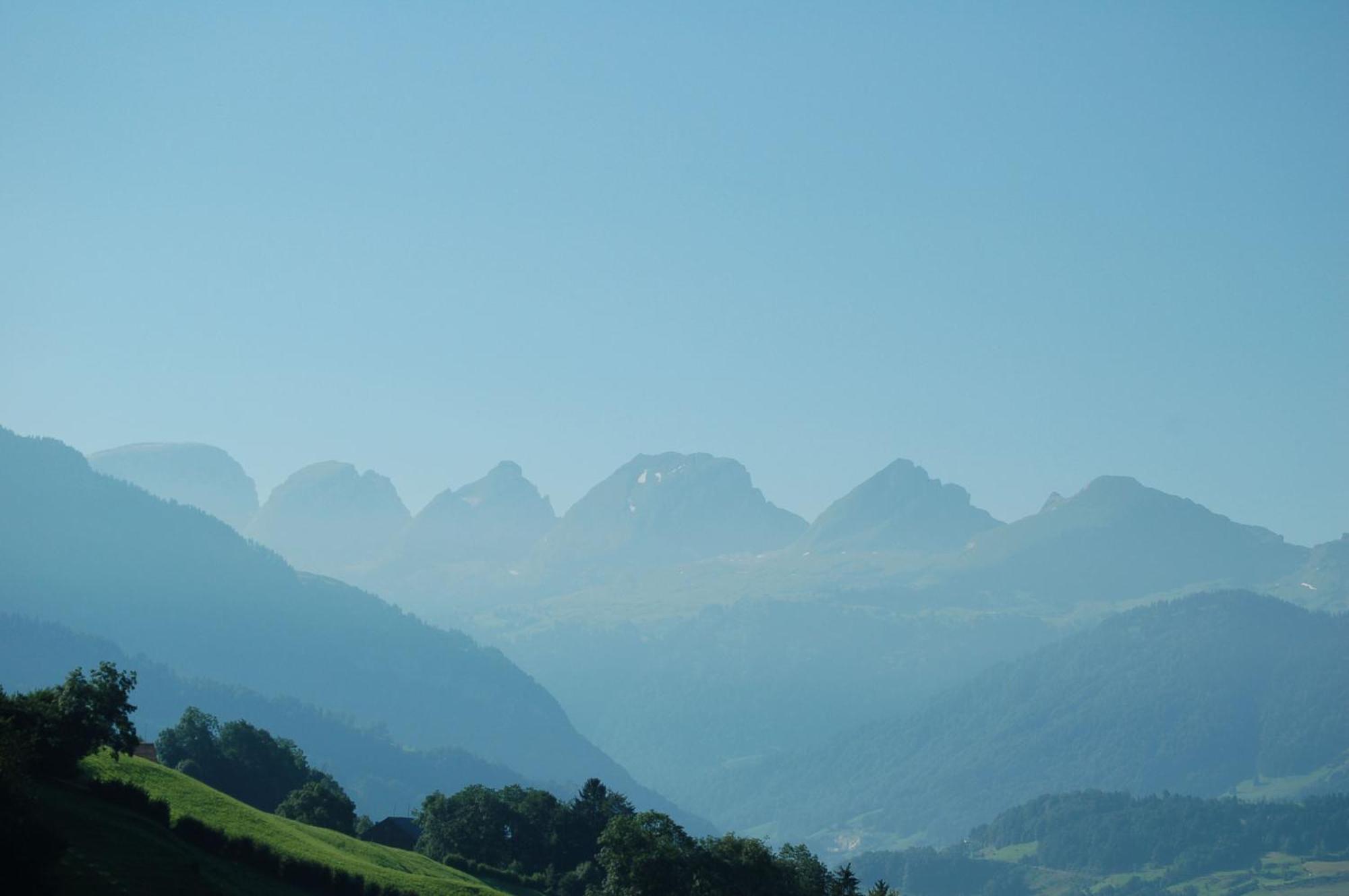 Gasthaus Schaefli Alt St. Johann Exteriör bild