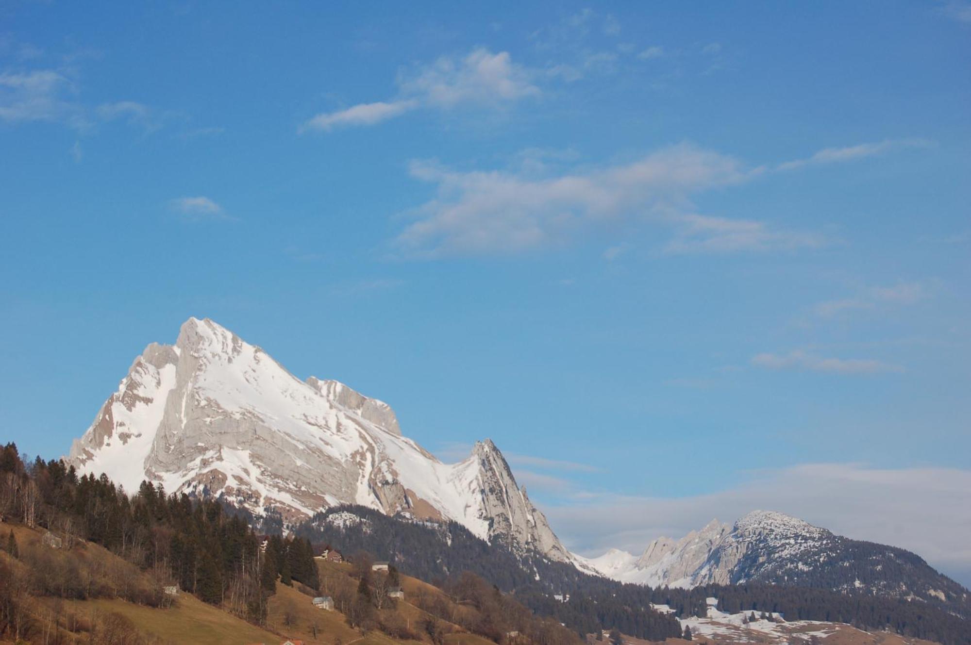 Gasthaus Schaefli Alt St. Johann Exteriör bild
