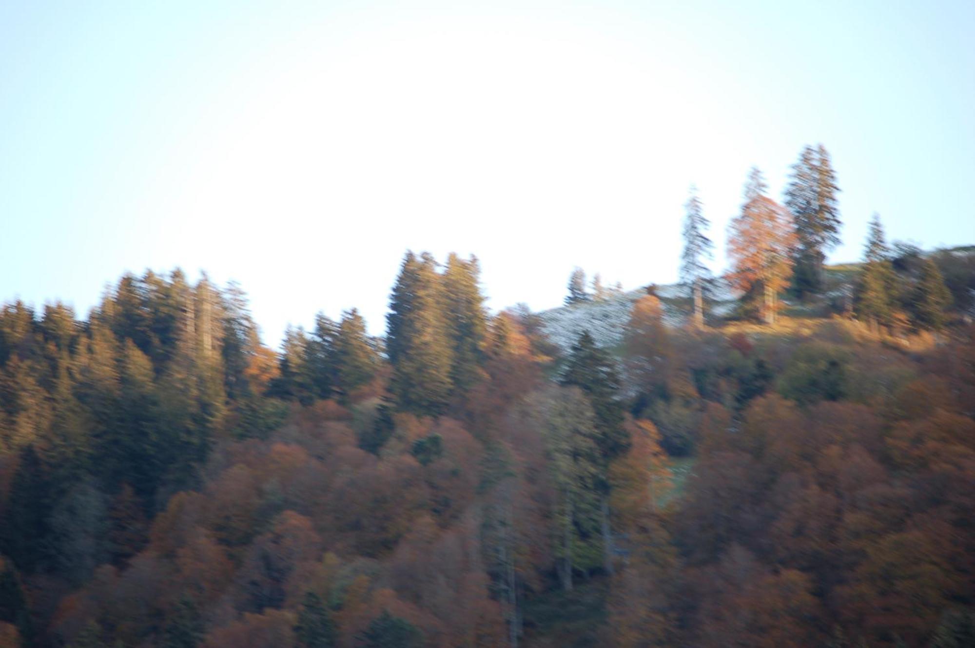Gasthaus Schaefli Alt St. Johann Exteriör bild
