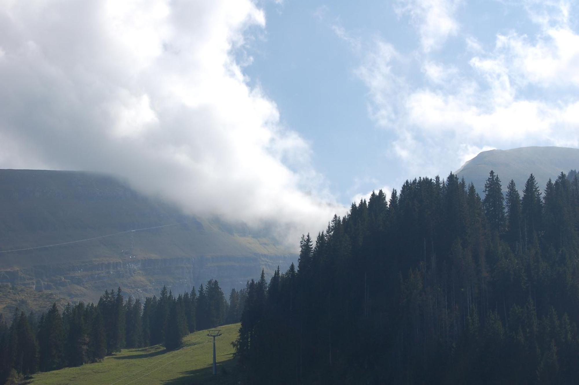 Gasthaus Schaefli Alt St. Johann Exteriör bild