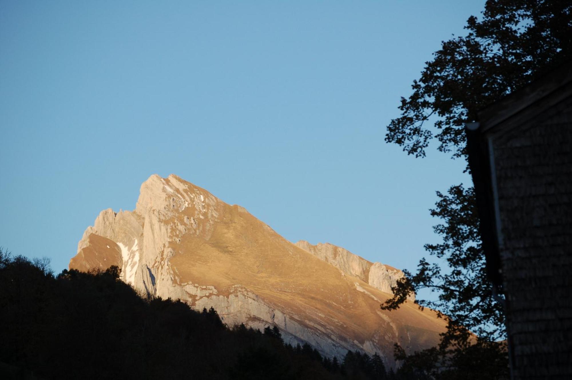 Gasthaus Schaefli Alt St. Johann Exteriör bild