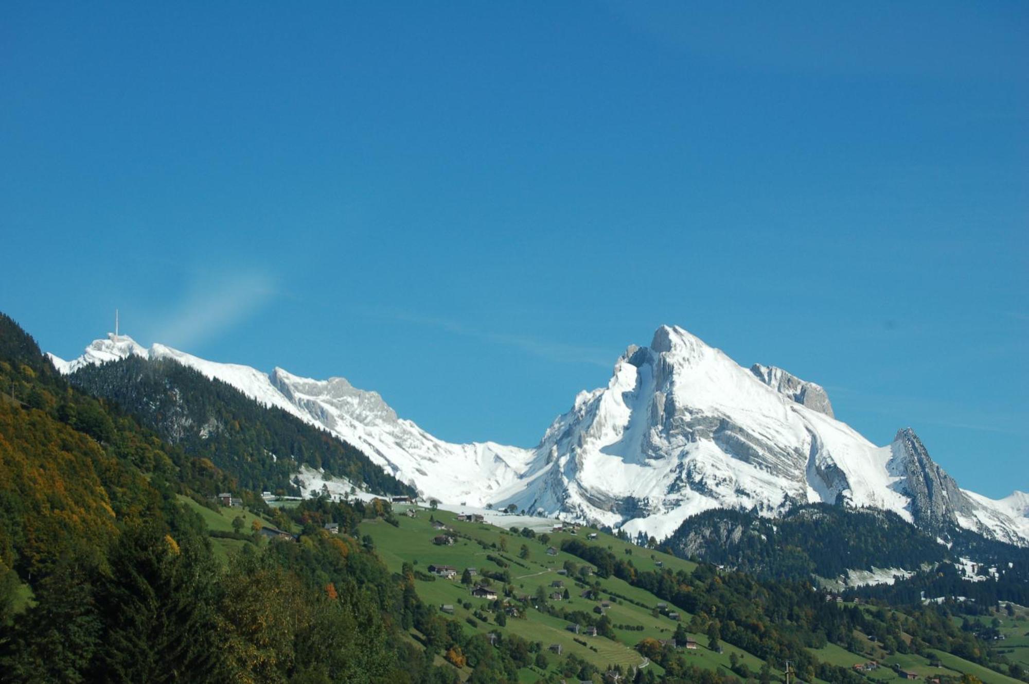 Gasthaus Schaefli Alt St. Johann Exteriör bild